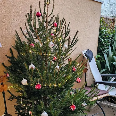 Ferienwohnung Terrasse De Malissol Vienne  Zimmer foto
